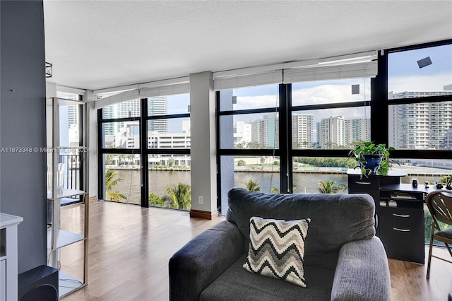 living room featuring hardwood / wood-style floors and a wealth of natural light