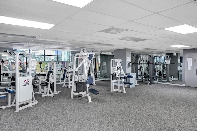 workout area featuring a drop ceiling and carpet floors