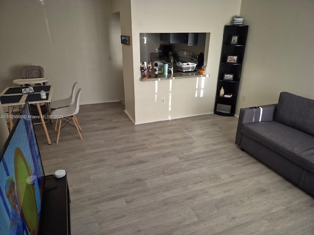 living room featuring hardwood / wood-style floors