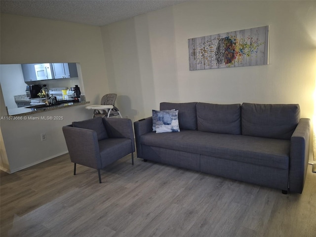 living room with a textured ceiling and light wood-type flooring