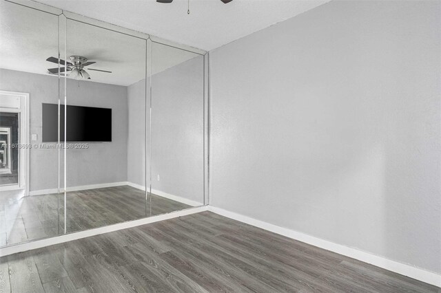 walk in closet with dark wood-type flooring