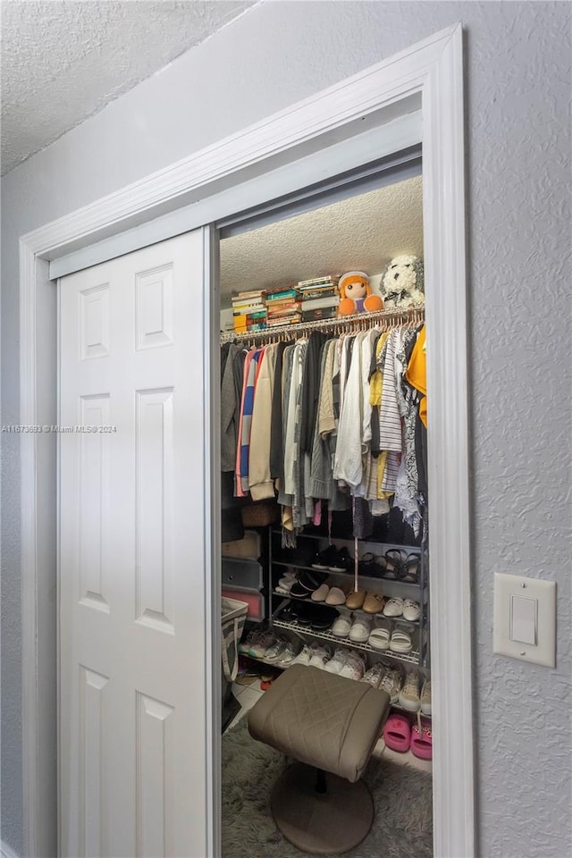 view of closet