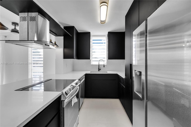 kitchen with ventilation hood, sink, and stainless steel appliances