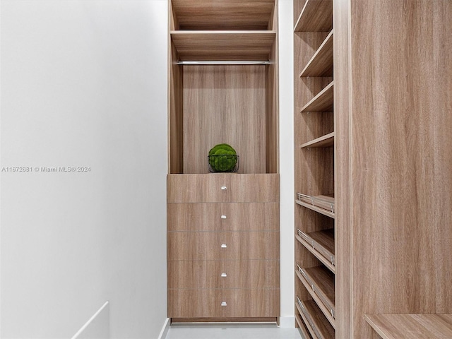 view of walk in closet