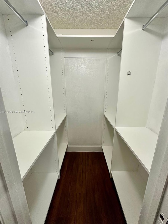 walk in closet featuring dark hardwood / wood-style floors