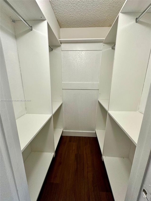 spacious closet featuring dark hardwood / wood-style flooring