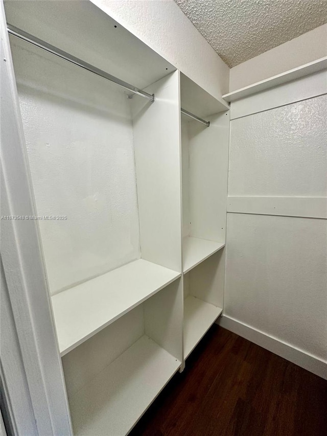 spacious closet featuring dark wood-type flooring