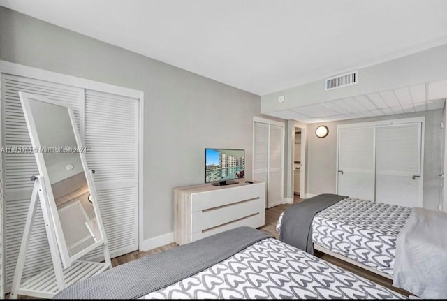 bedroom featuring two closets and wood-type flooring