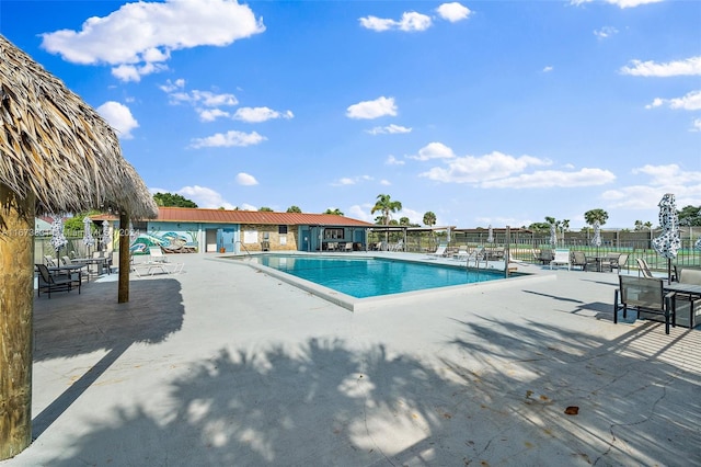 view of swimming pool with a patio