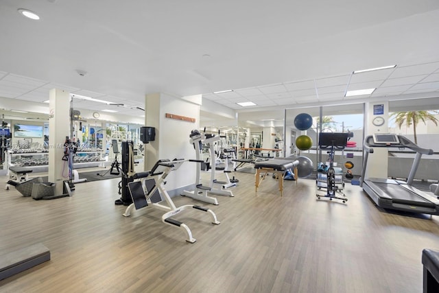 exercise room featuring a paneled ceiling and hardwood / wood-style flooring