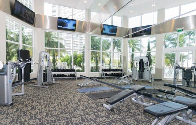 gym featuring a high ceiling and carpet