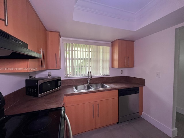 kitchen with appliances with stainless steel finishes, crown molding, a tray ceiling, and sink