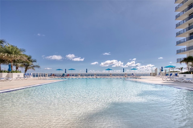 view of swimming pool featuring a patio