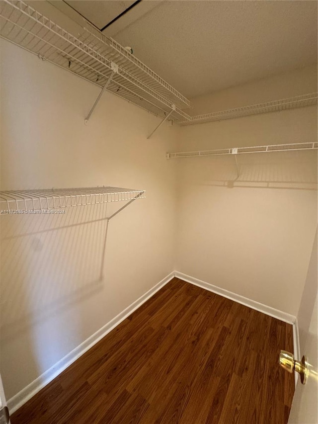 spacious closet featuring hardwood / wood-style floors