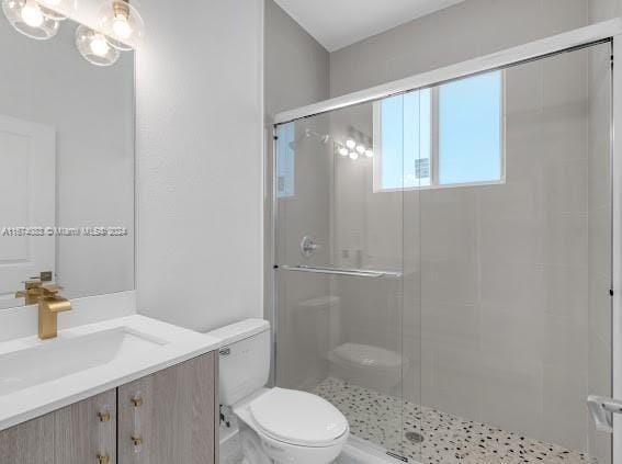 bathroom with vanity, walk in shower, and toilet