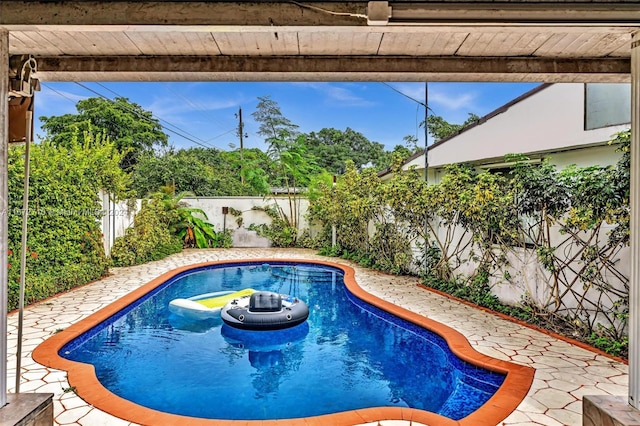 view of pool with a patio area