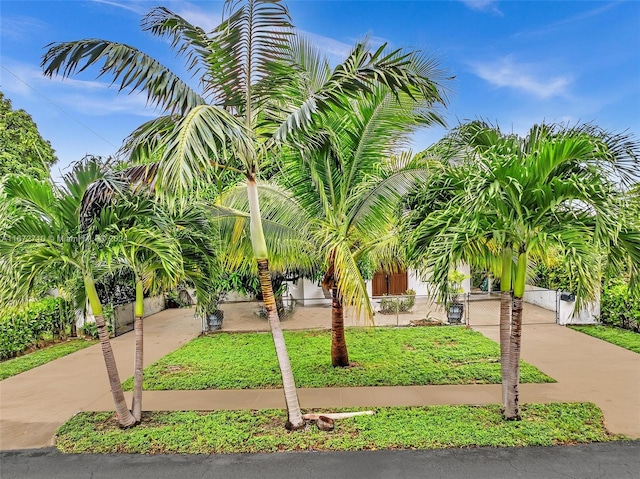 view of community featuring driveway, fence, and a gate