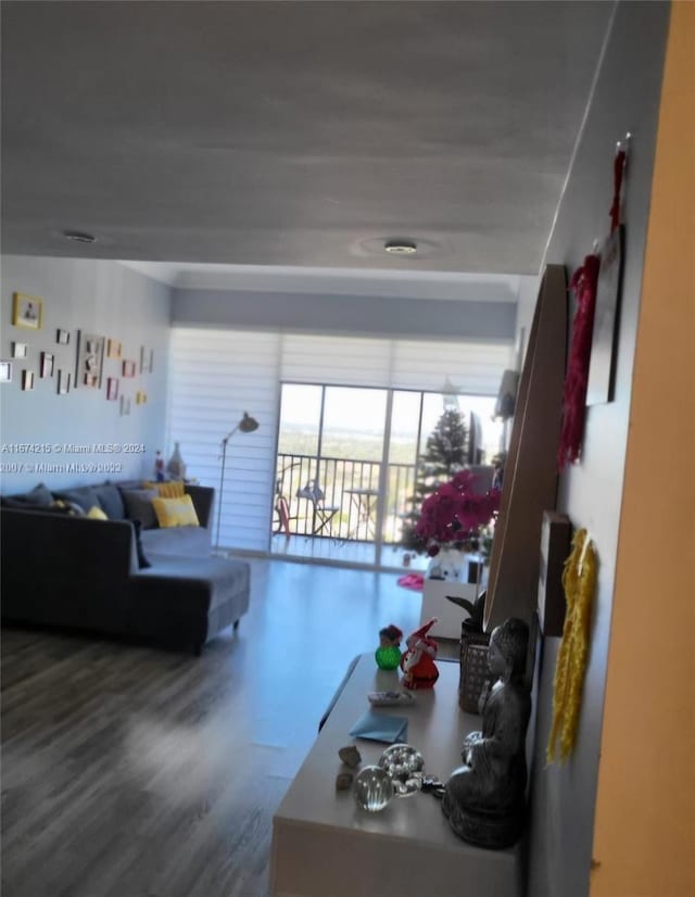 living room featuring wood-type flooring