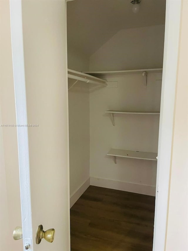 walk in closet featuring lofted ceiling and dark hardwood / wood-style flooring