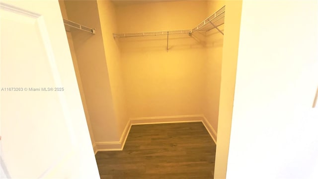 510 NW 84th Ave Unit 529, Plantation, FL 33324 - spacious closet featuring wood finished floors