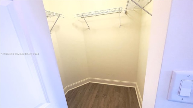 spacious closet featuring dark wood-type flooring