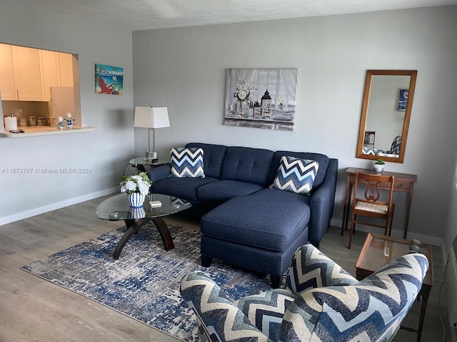 living room featuring hardwood / wood-style flooring and a textured ceiling