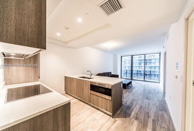 kitchen featuring black electric cooktop, sink, light hardwood / wood-style flooring, and floor to ceiling windows