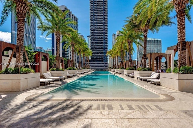 view of pool featuring a patio