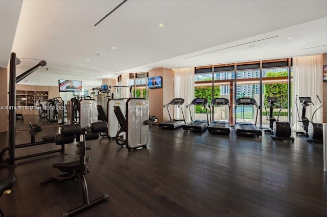 gym featuring hardwood / wood-style floors and a wall of windows