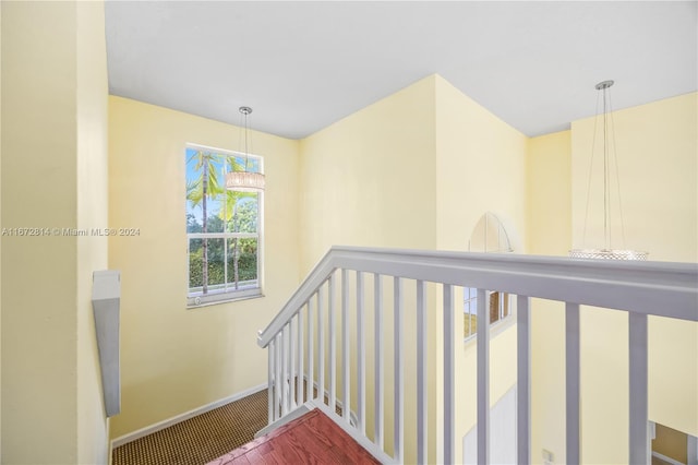 staircase with carpet