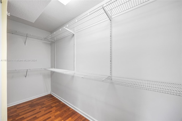 walk in closet with dark hardwood / wood-style floors