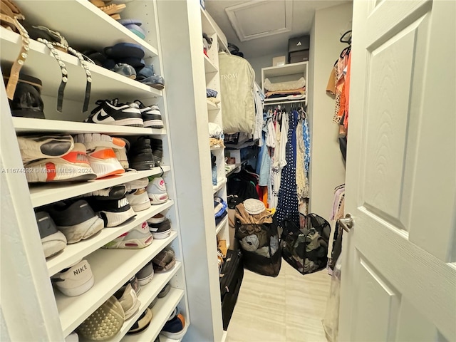 view of spacious closet