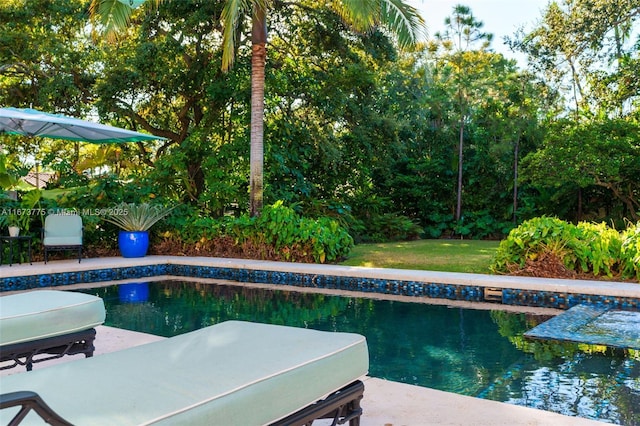 view of swimming pool featuring a yard