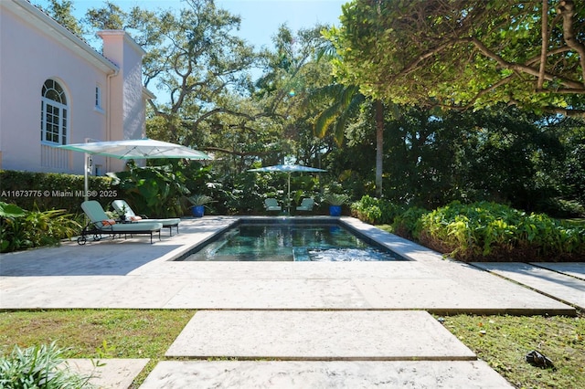 view of pool with a patio