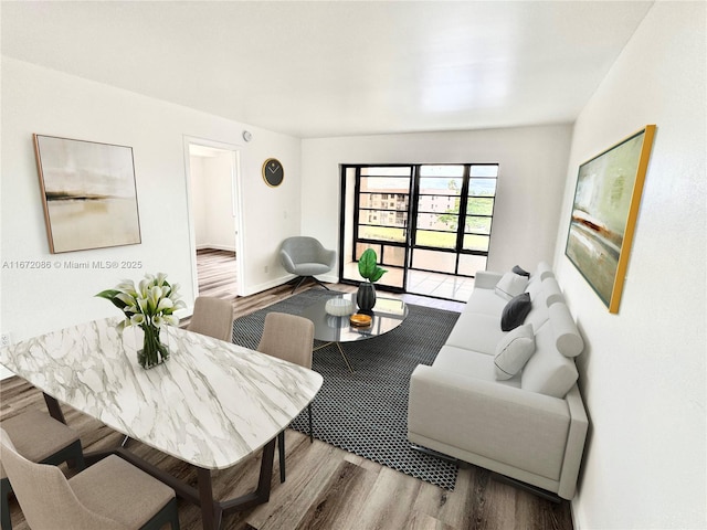 living room featuring wood-type flooring