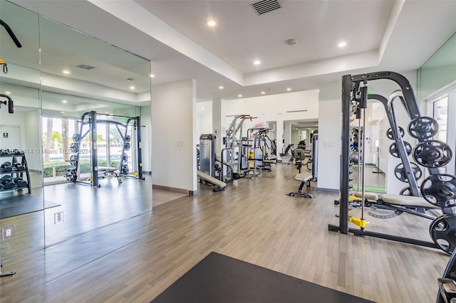 gym with a raised ceiling and light hardwood / wood-style floors