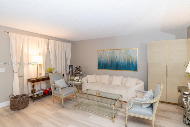 living room with a textured ceiling and hardwood / wood-style floors