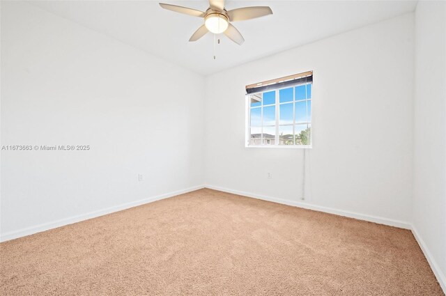 spacious closet featuring carpet