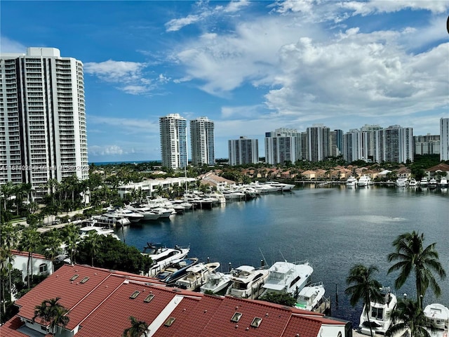 water view featuring a city view