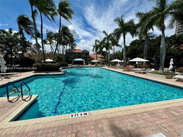 view of swimming pool featuring a patio area