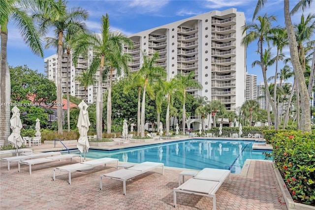 view of swimming pool featuring a patio area