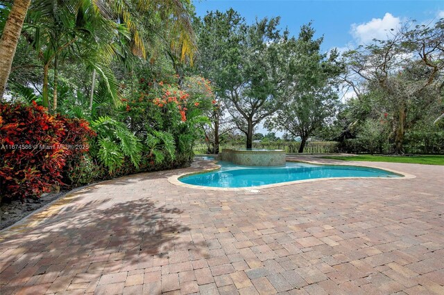 view of swimming pool featuring a patio area