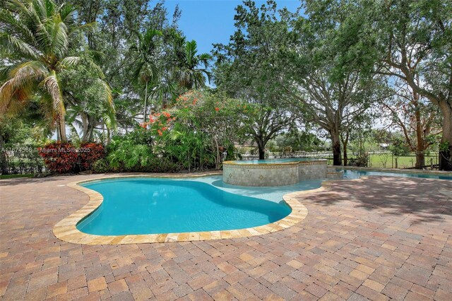 view of swimming pool with an in ground hot tub and a patio