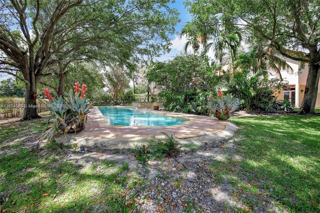 outdoor pool with a patio area and a lawn