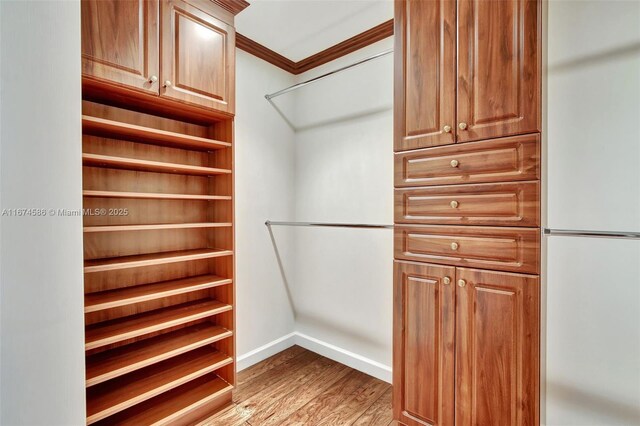 walk in closet with light hardwood / wood-style floors