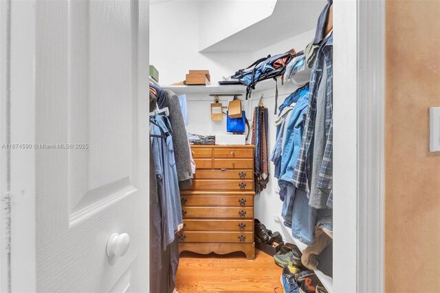 walk in closet with hardwood / wood-style flooring