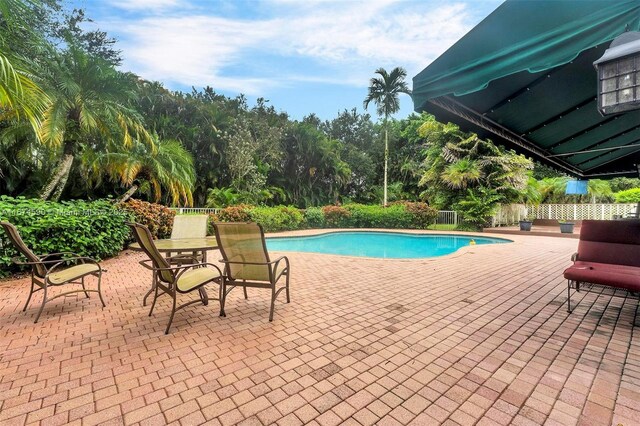 view of swimming pool with a patio