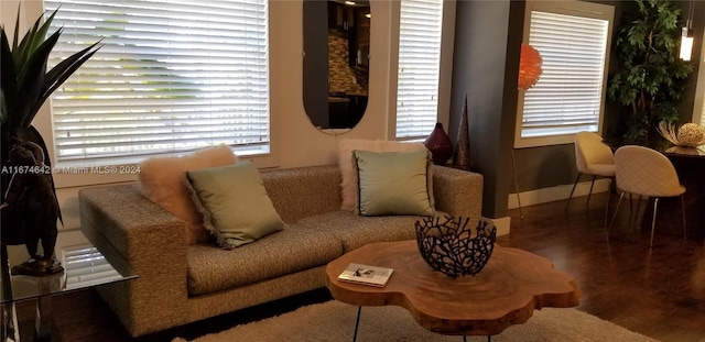 living area featuring hardwood / wood-style floors