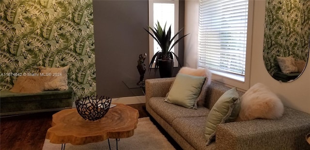 sitting room featuring hardwood / wood-style flooring and a healthy amount of sunlight