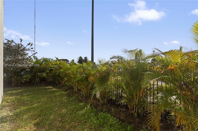 view of local wilderness